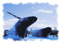 National Museum of Marine Biologyand Aquarium