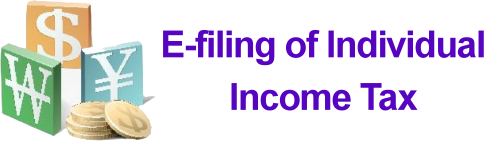 e-Filing and Tax Payment Service