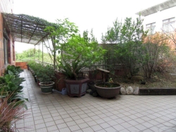 戶外花園